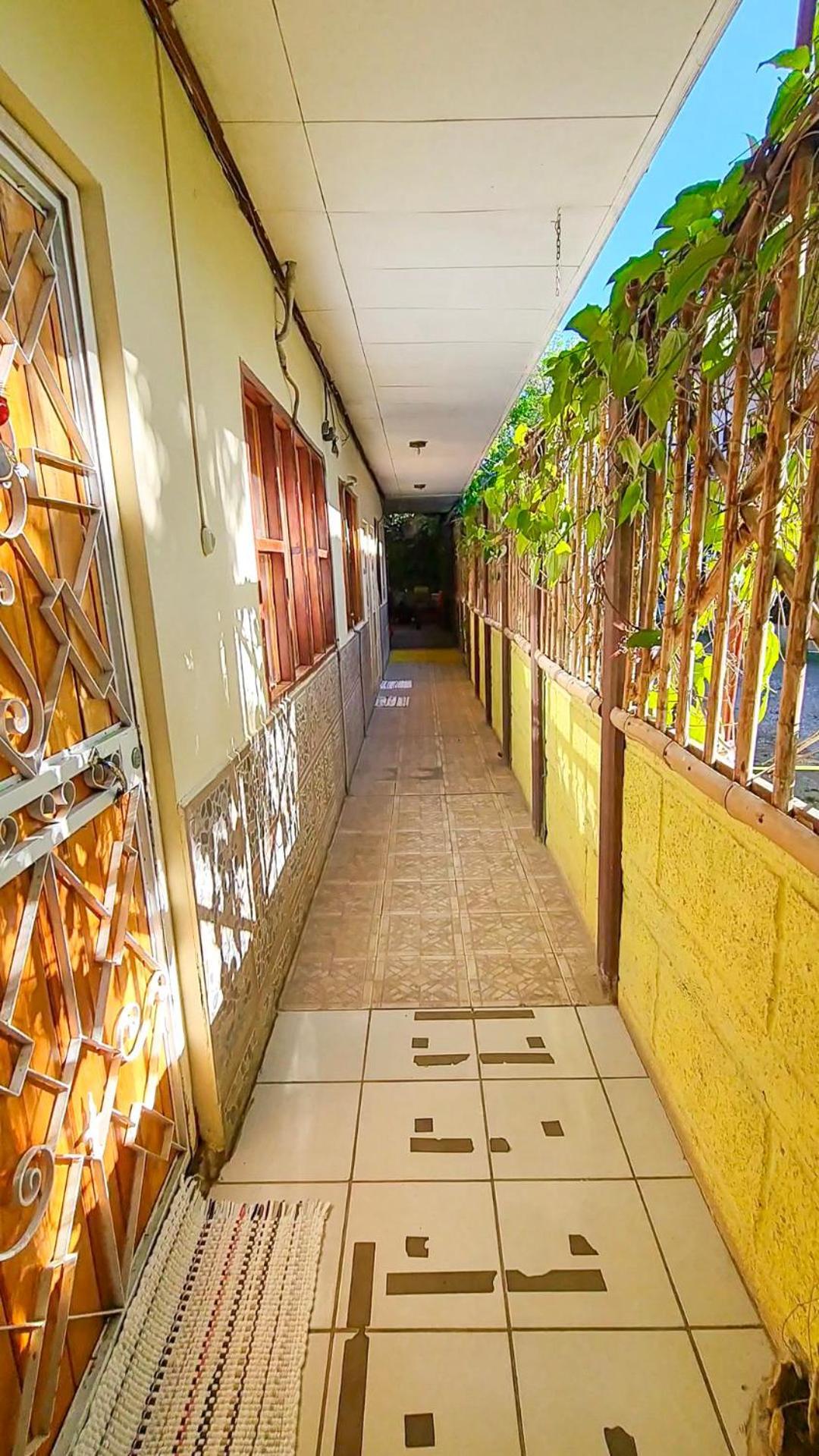 Cabinas Coco Alegre Kültér fotó